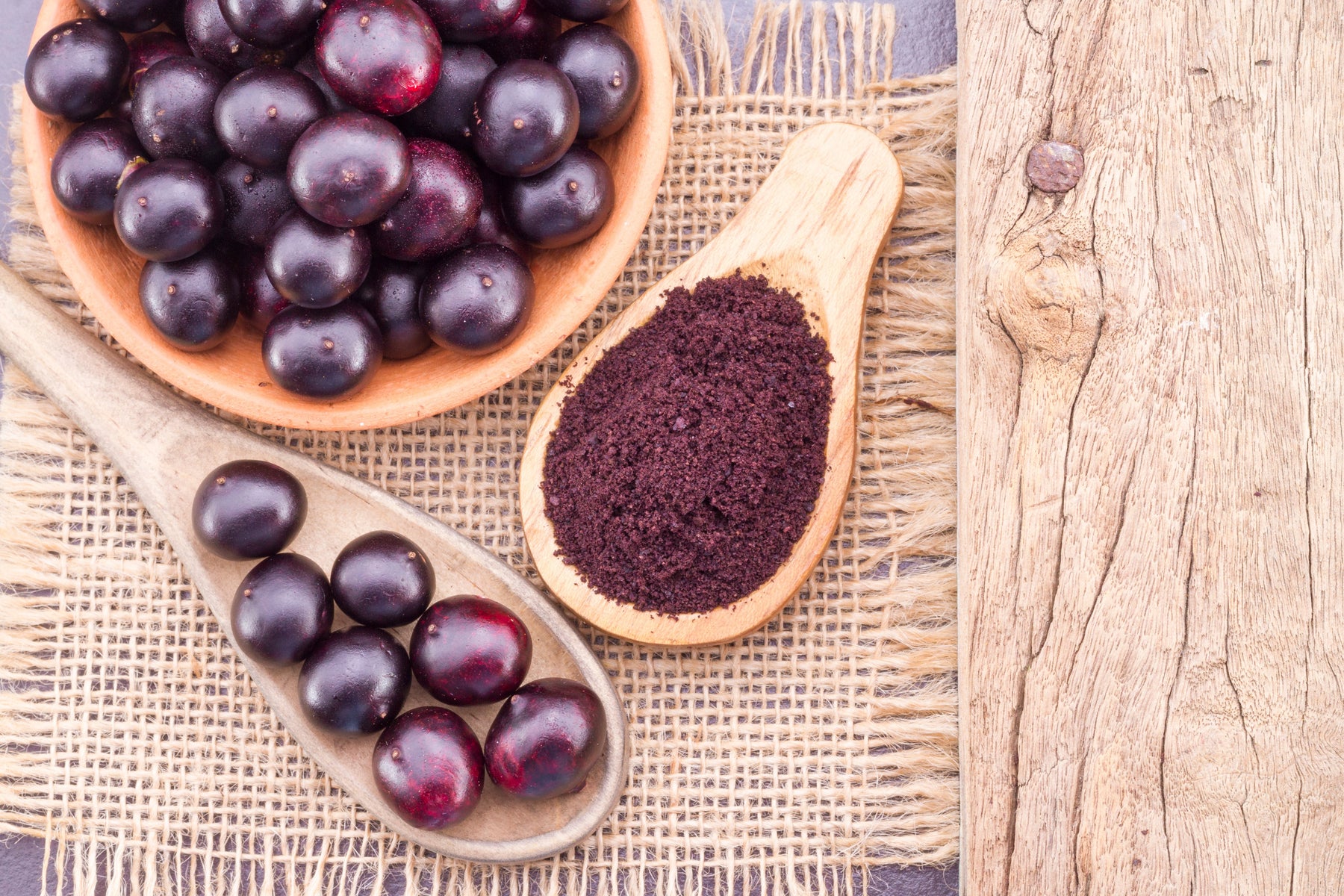 Acai berries and acai powder in wooden spoons