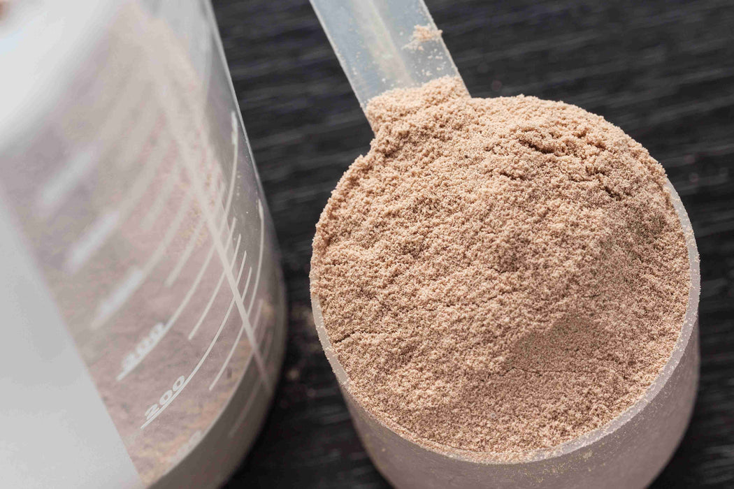 Protein Powder